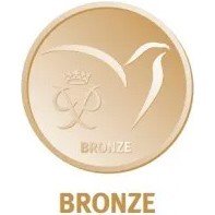 Enrolment form for Bronze Award